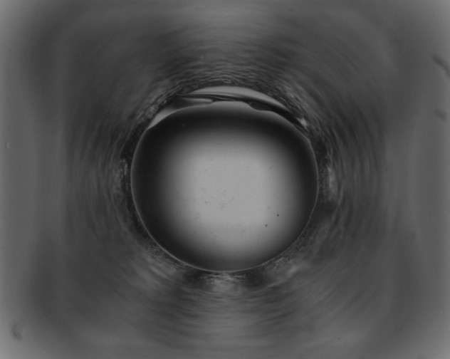 X0000093120229200709261334