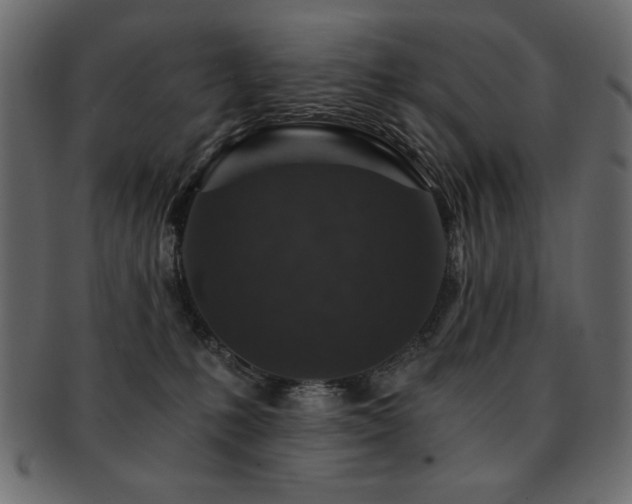 X0000093120231200709261334
