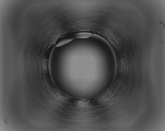 X0000093120232200709261334