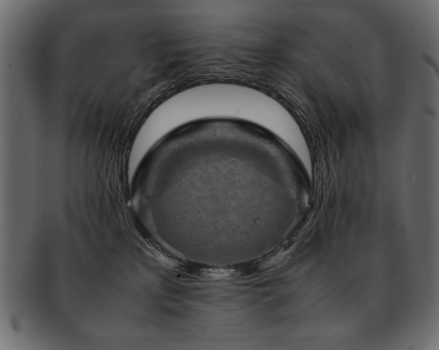 X0000093120233200709261334