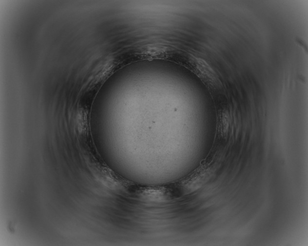X0000093120236200709261334