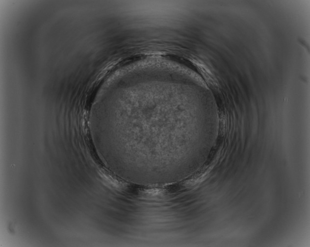 X0000093120237200709261334