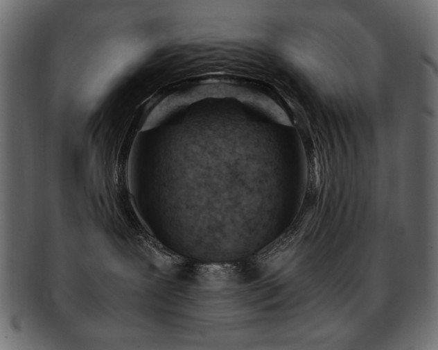 X0000093120239200709261334