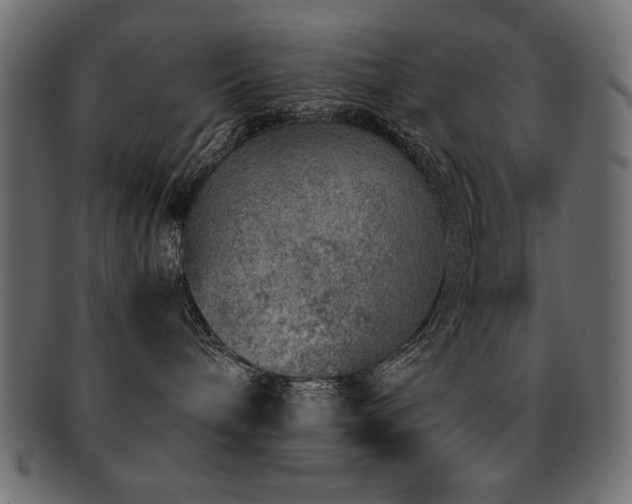 X0000093120240200709261334