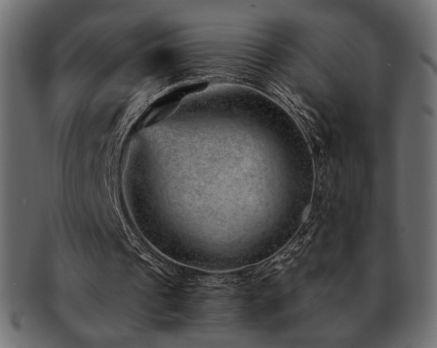 X0000093120241200709261333