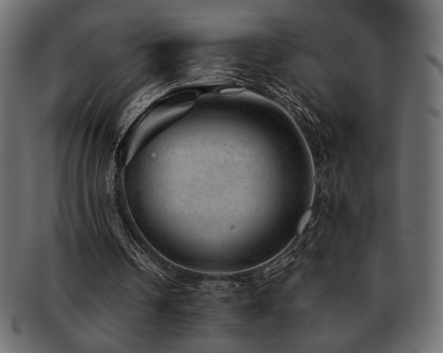 X0000093120242200709261333