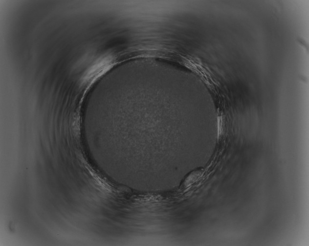 X0000093120243200709261333