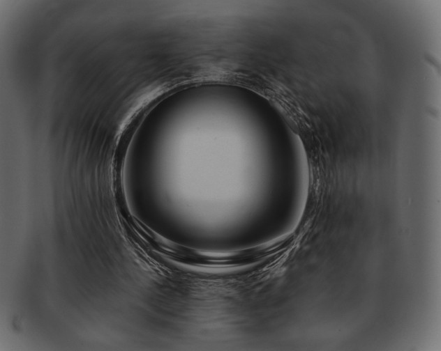 X0000093120244200709261333