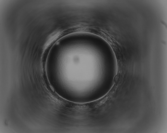 X0000093120245200709261333