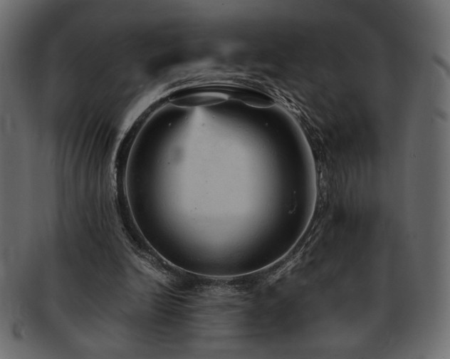 X0000093120246200709261333