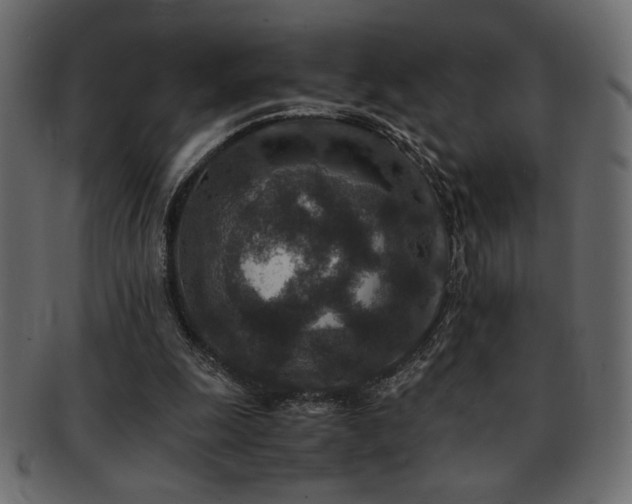 X0000093120247200709261333