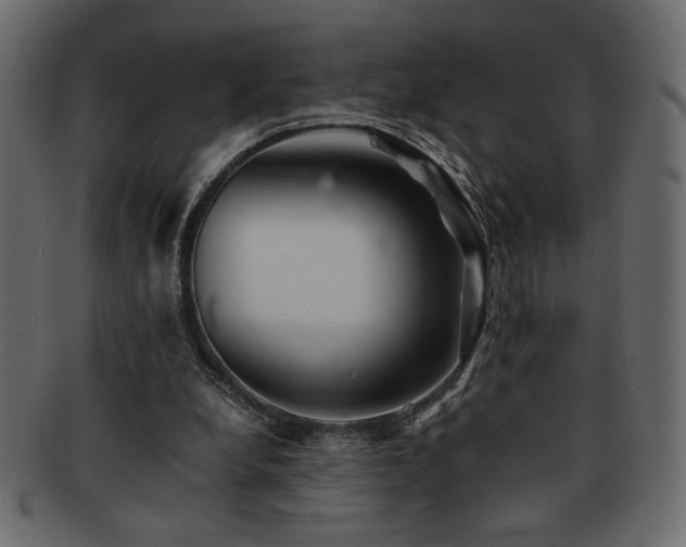 X0000093120248200709261333
