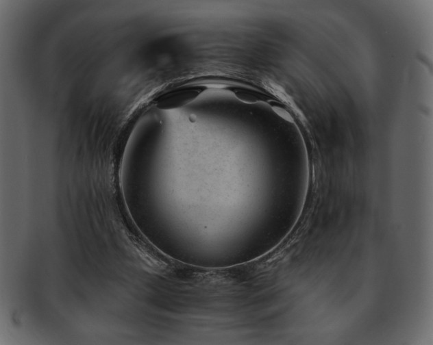 X0000093120249200709261333