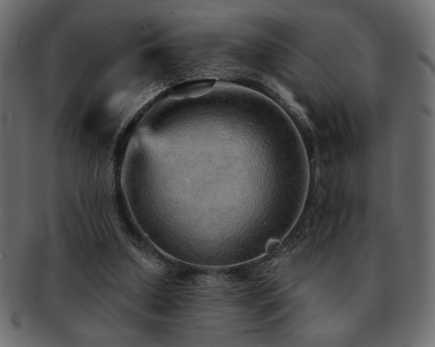 X0000093120250200709261333