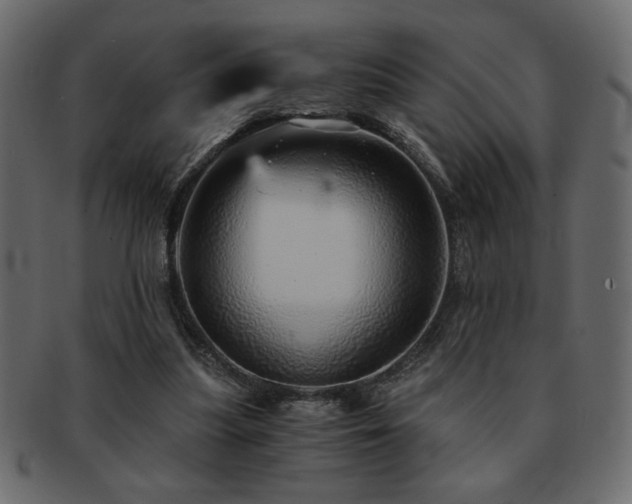 X0000093120251200709261333