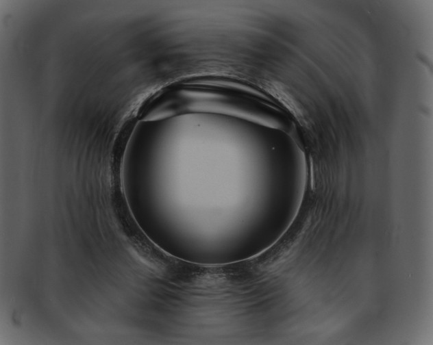 X0000093120252200709261333