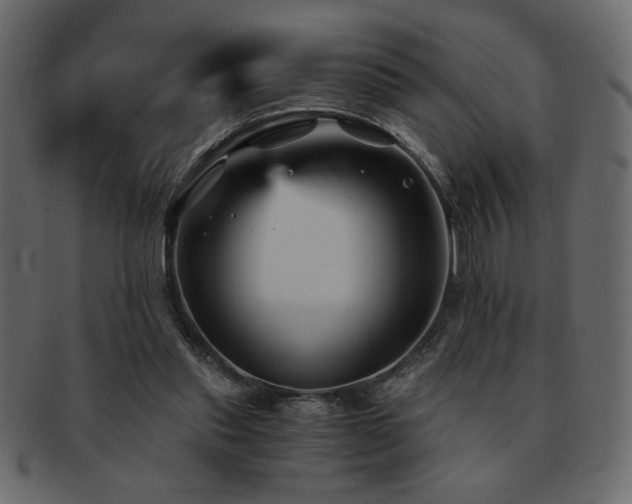 X0000093120253200709261333