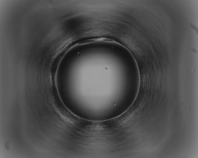 X0000093120254200709261333