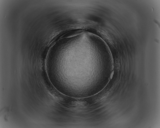 X0000093120255200709261333