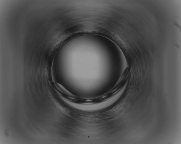 X0000093120256200709261333