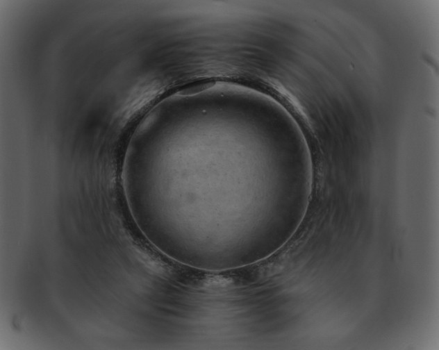 X0000093120257200709261333