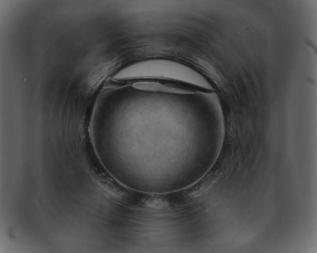X0000093120258200709261333