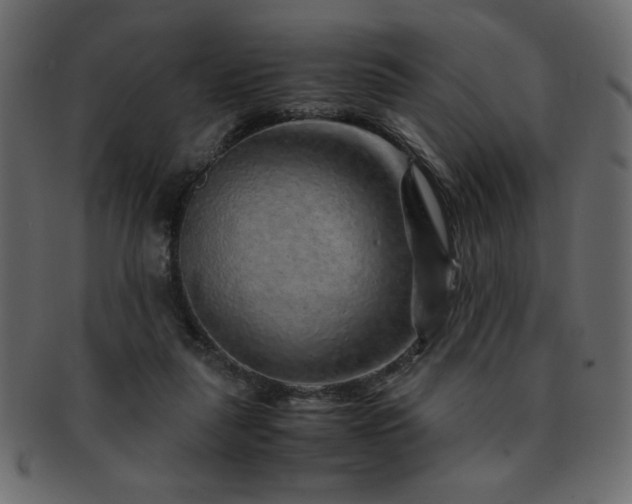 X0000093120259200709261333