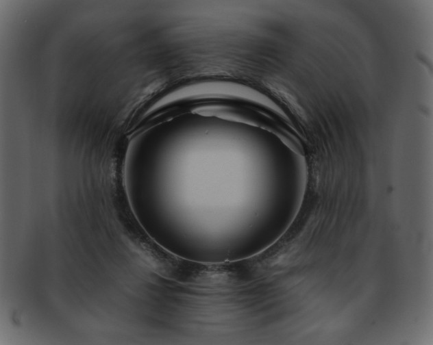 X0000093120260200709261334