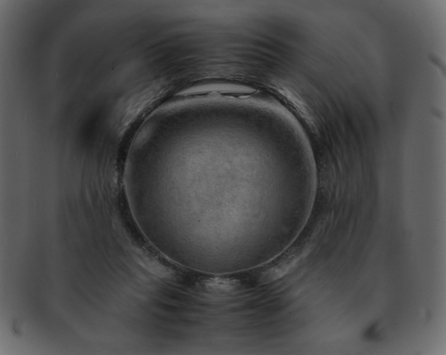 X0000093120261200709261334