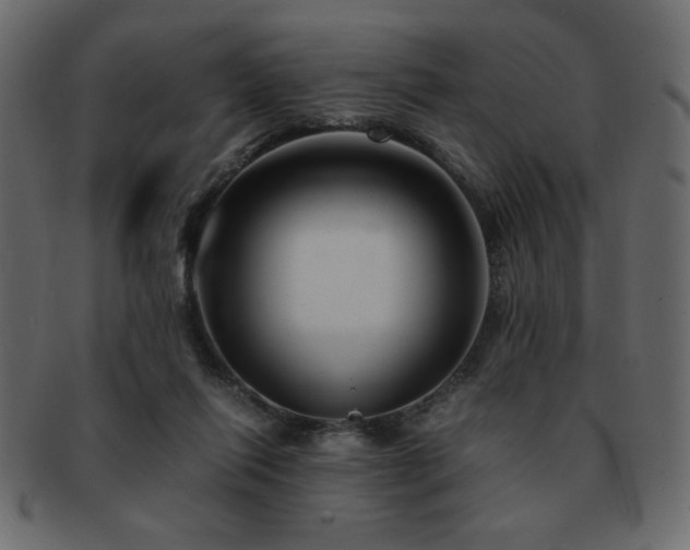 X0000093120262200709261334