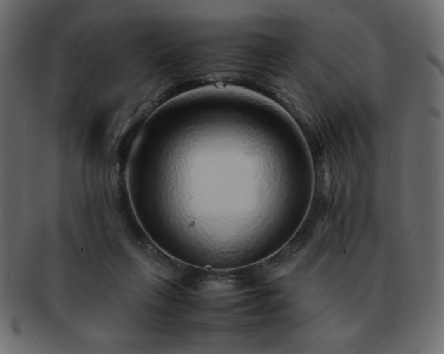 X0000093120263200709261334