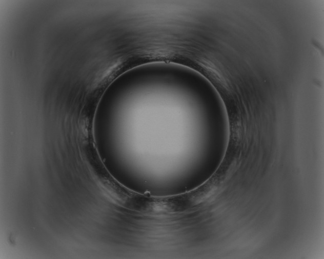 X0000093120264200709261334