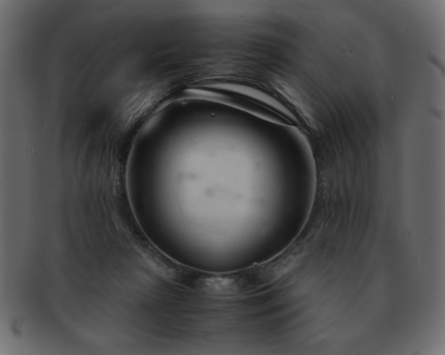 X0000093120265200709261334