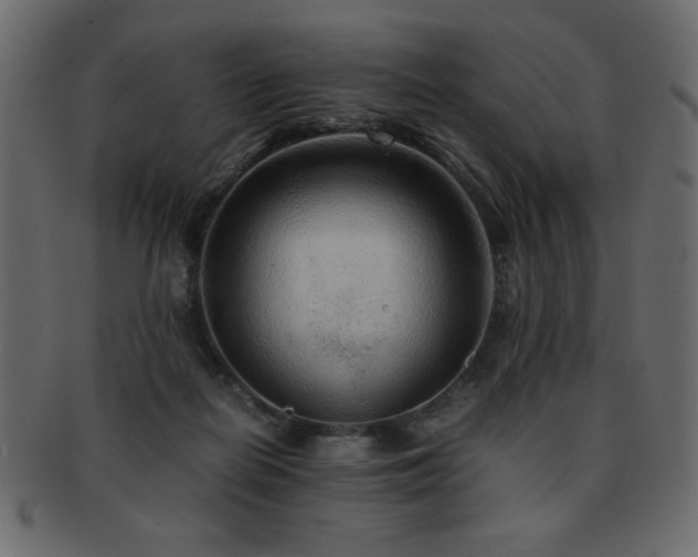 X0000093120266200709261334