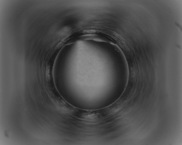 X0000093120267200709261334