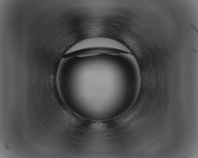 X0000093120269200709261334