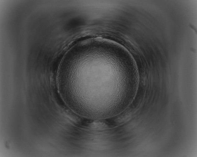 X0000093120270200709261334