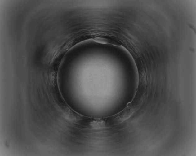 X0000093120271200709261334