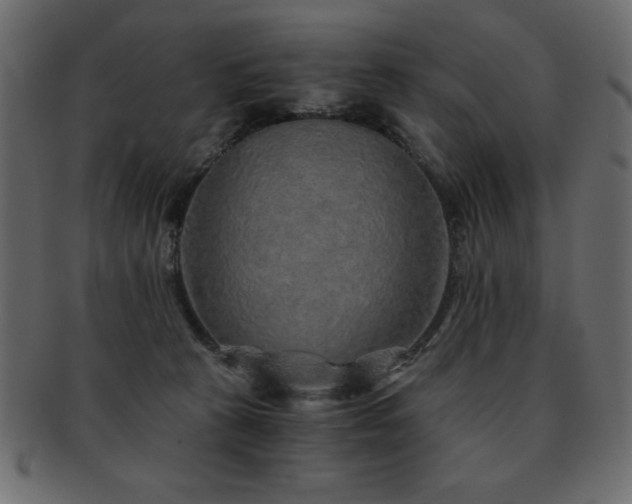 X0000093120273200709261334