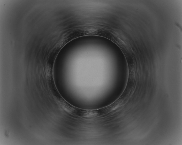 X0000093120274200709261334
