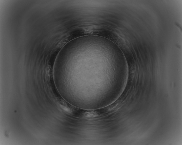 X0000093120275200709261334
