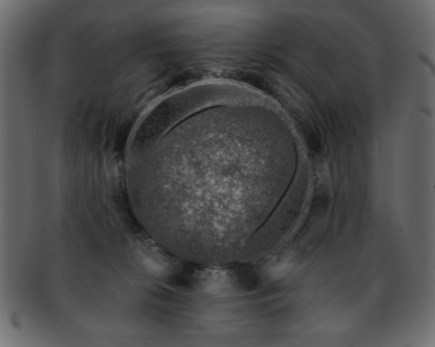 X0000093120276200709261334