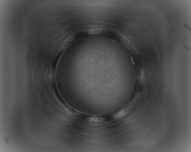 X0000093120277200709261334