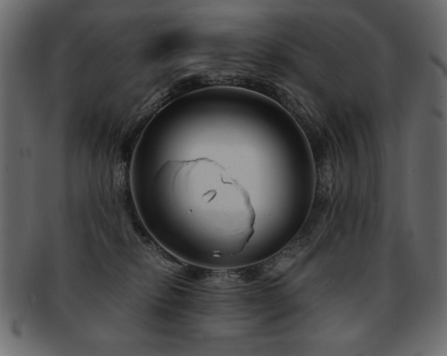 X0000093120278200709261334