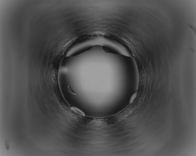 X0000093120280200709261334
