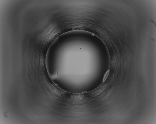 X0000093120282200709261334