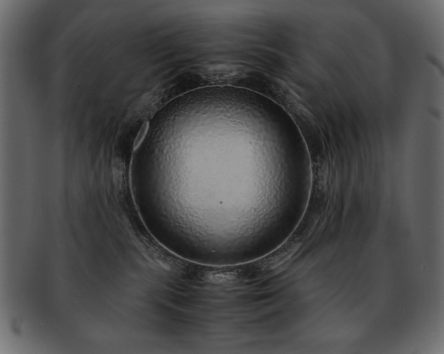 X0000093120283200709261334