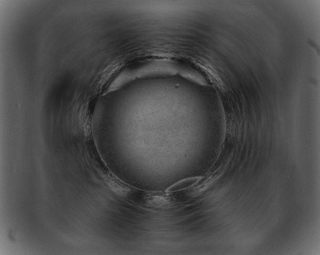 X0000093120285200709261334