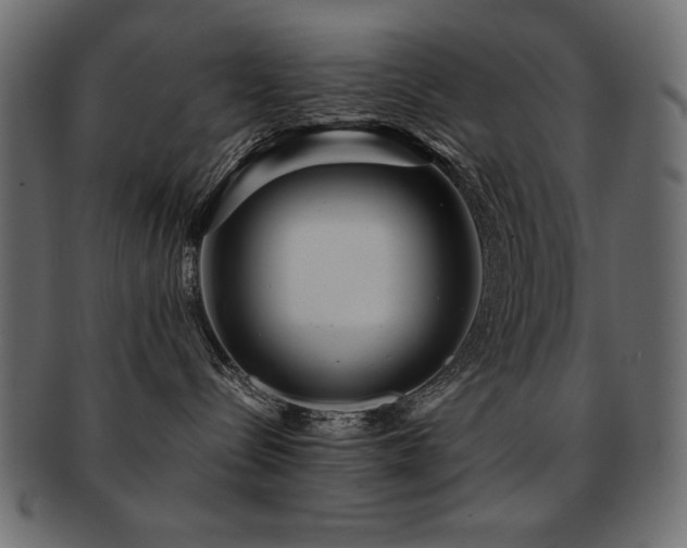 X0000093120288200709261334