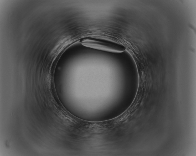 X0000093120290200709261333
